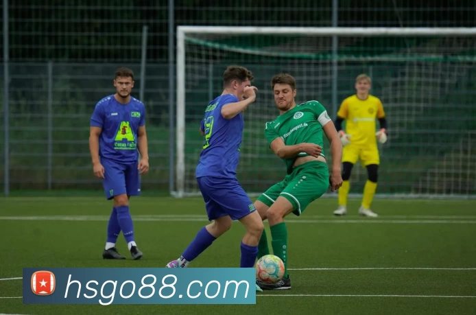 恒盛娱乐官网平台生态图