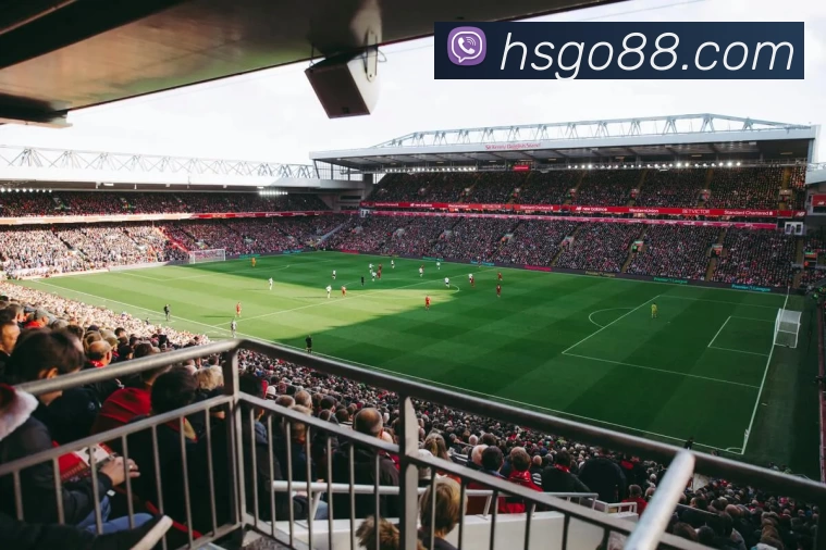 恒盛娱乐官网APP 封面图